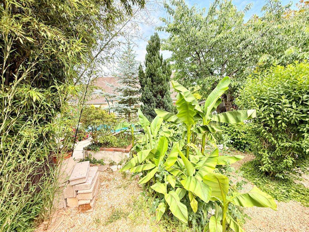 Maison de caractère 250 m² , 10 pièces sur Terrain 1000 m² à Joigny - photo 18