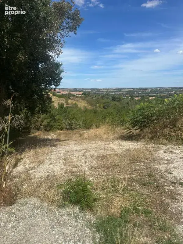Terrain Gardouch 2049 m2 - photo 2