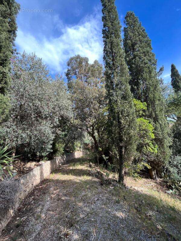 Terrain constructible  cote d 'azur  var les issambres - photo 2