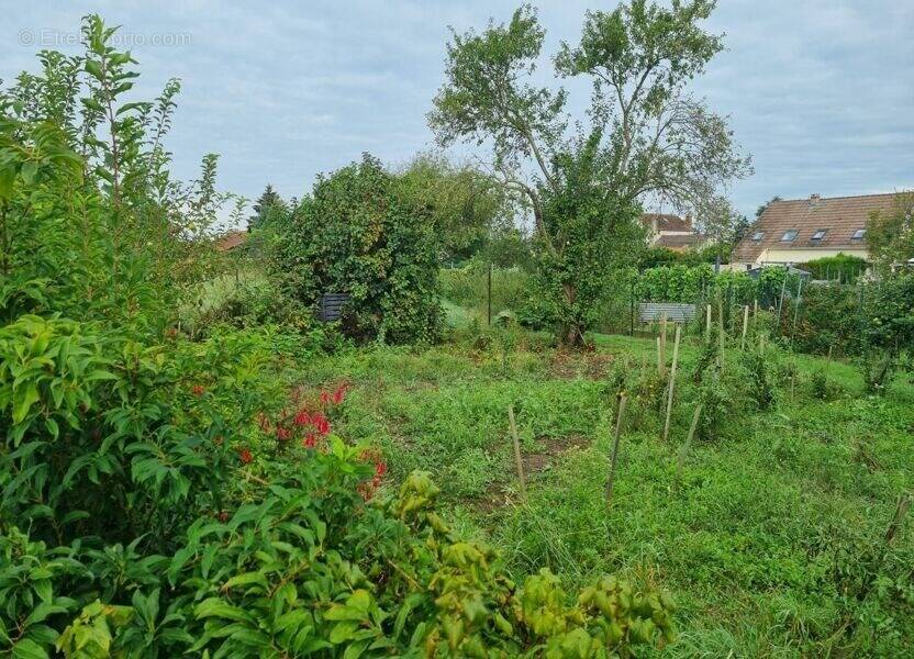 Terrain à BOISSISE-LE-ROI