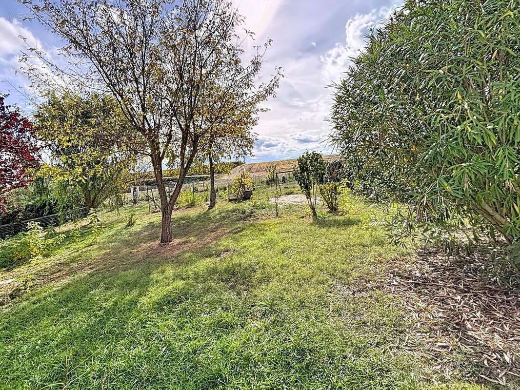 Photo 9 - Maison à MONTREAL