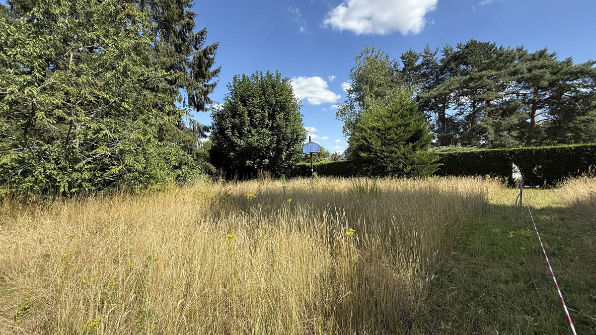 Terrain à SAMOIS-SUR-SEINE
