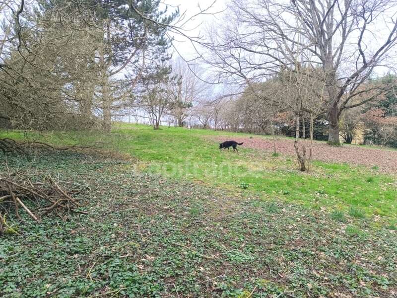 Maison à vendre 0 pièces BOEURS EN OTHE (89) - photo 32