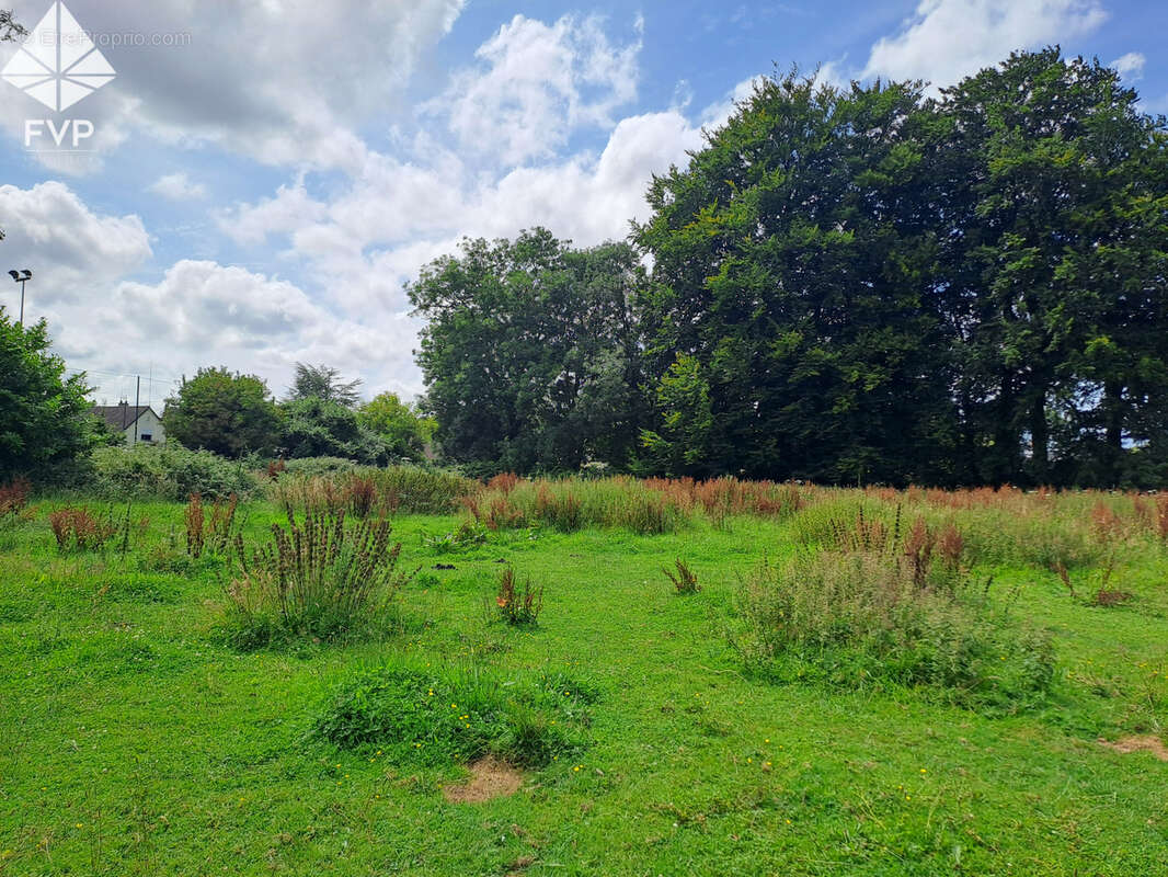 Terrain à SAINT-VALERY-EN-CAUX