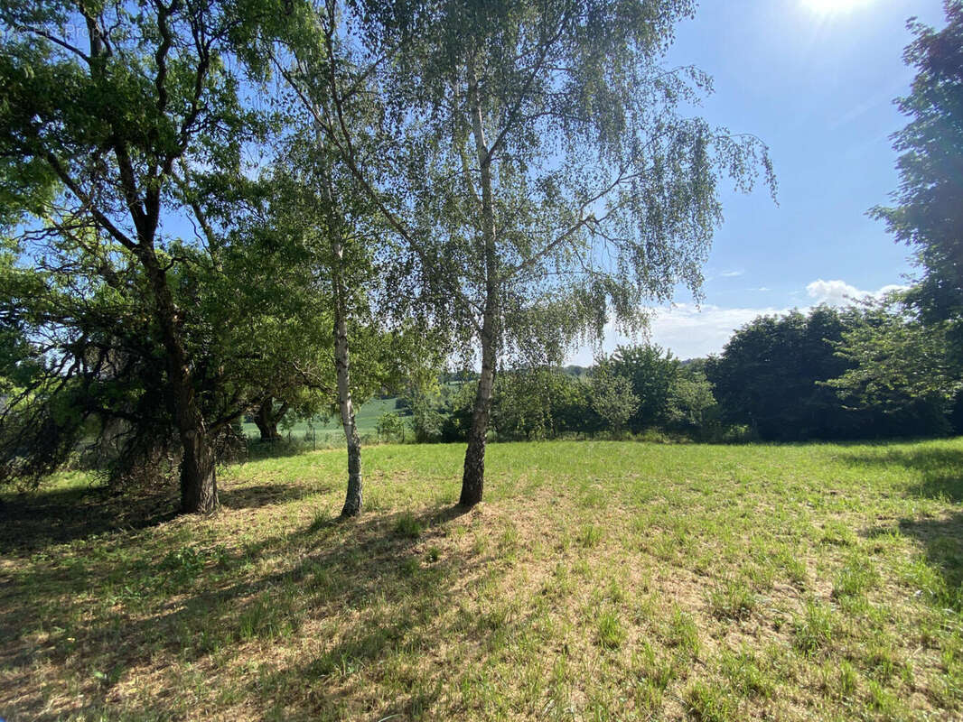 jardin - Maison à AUBETERRE-SUR-DRONNE