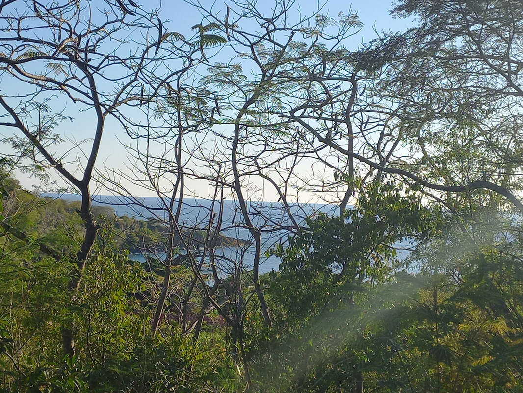 Terrain à BOUILLANTE