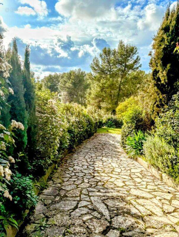 Maison à MONTPELLIER