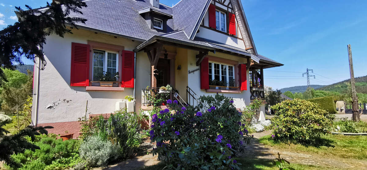 Colroy-La-Roche, maison de caractère des années 1930 sur un terrain de 26 ares - photo 31