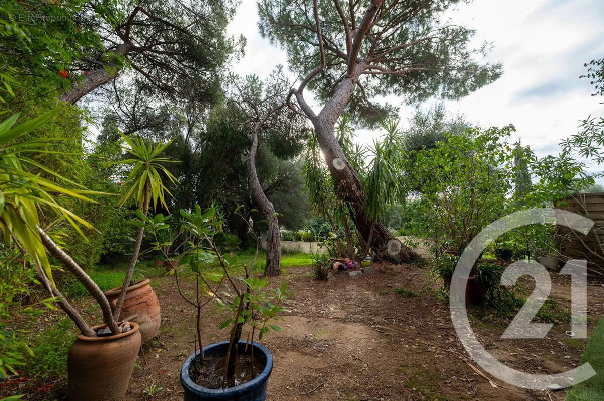 Appartement à LE LAVANDOU