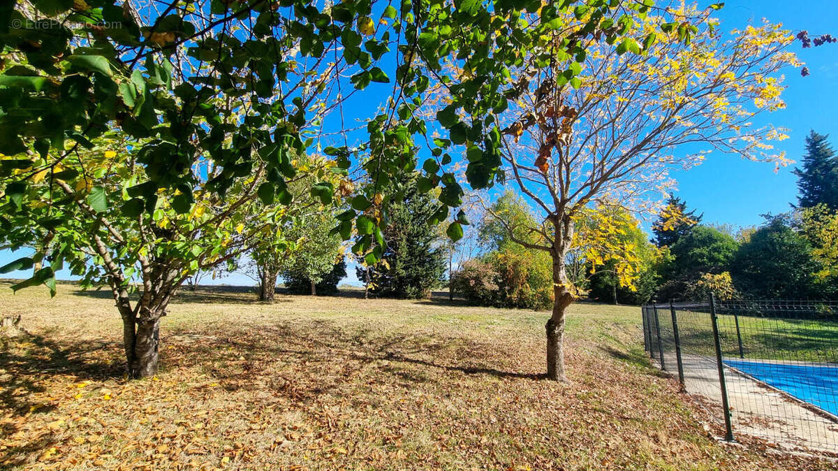 jardin - Maison à LABECEDE-LAURAGAIS