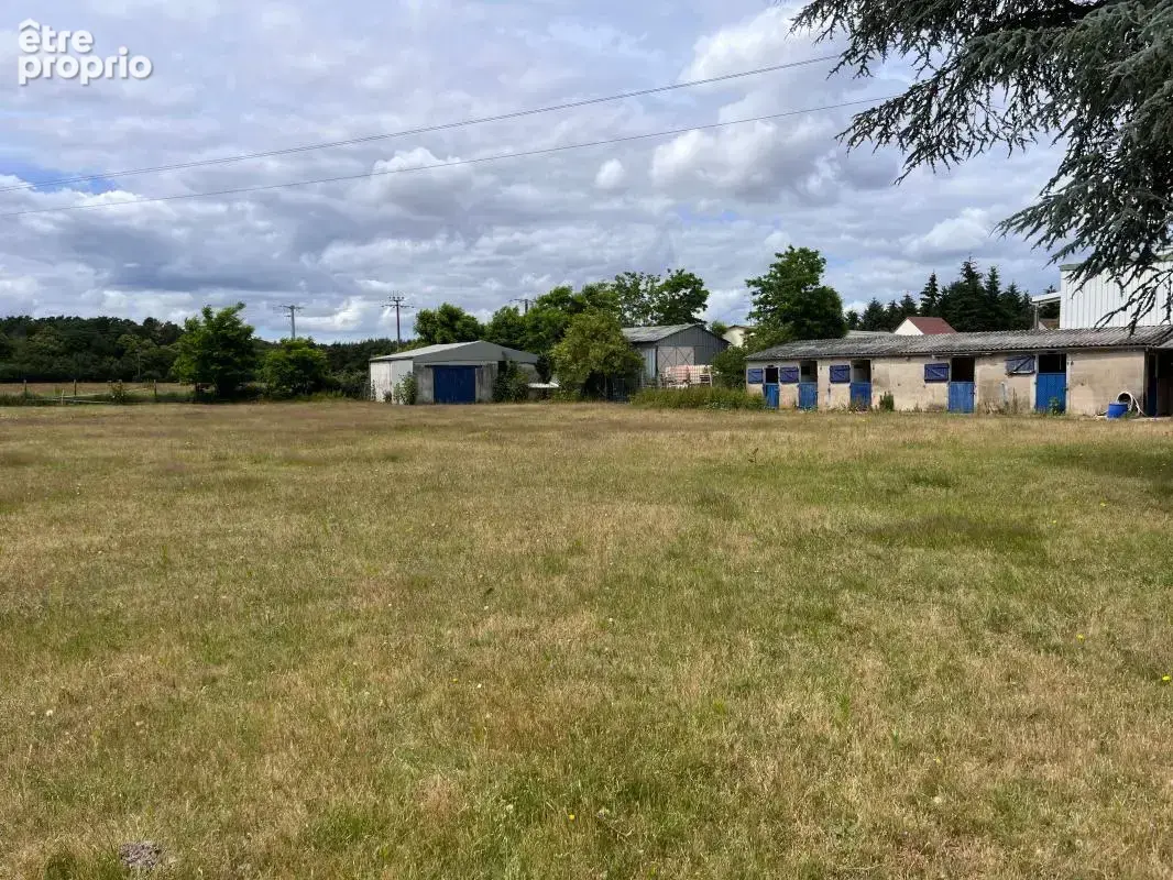 Terrain À Vendre sur  Olivet sud - photo 3