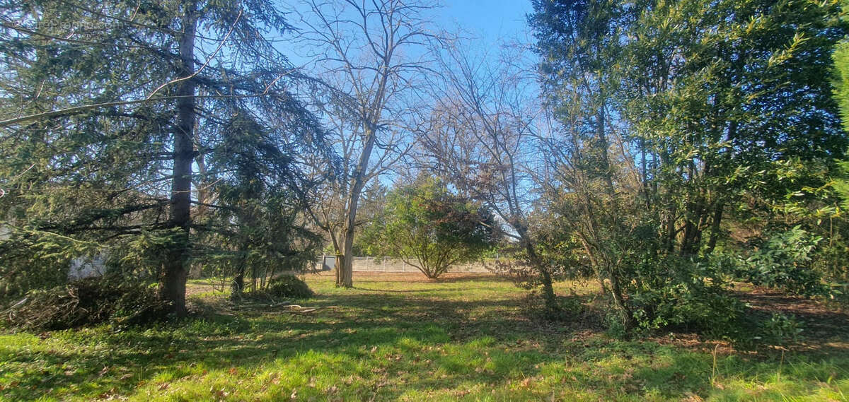 SAINT EULALIE - Belle Maison de 350m2 sur 3000m2 de terrain - photo 4