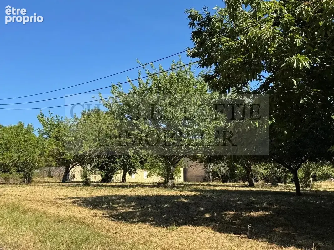 Belle propriété de caractère en pierre avec dépendances et gîte indépendant, 2.8 ha de terrain - photo 30