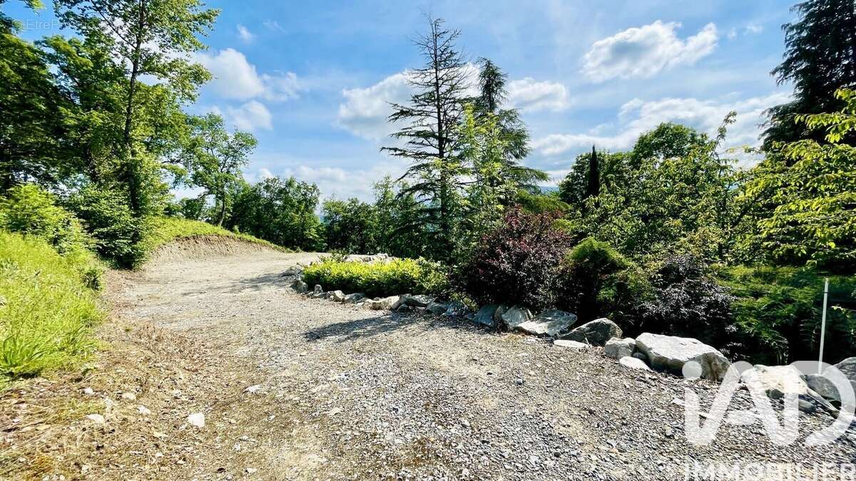 Terrain 3234 m² à Labroquere  - photo 2
