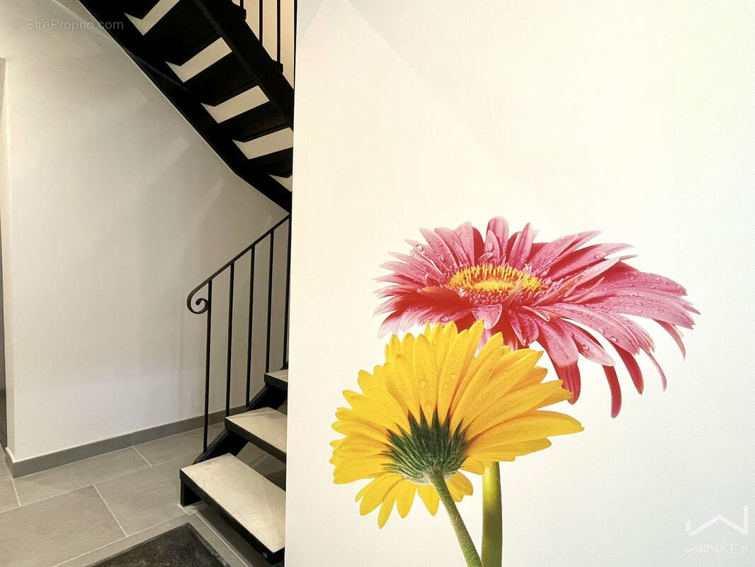 Appartement à SAINTE-CECILE-LES-VIGNES