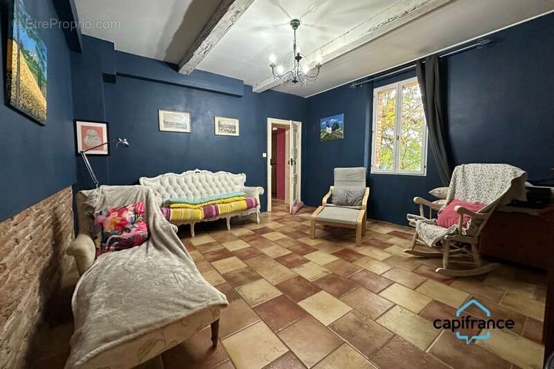 Salvagnac 81, magnifique propriété T9-T10 450 m² (dont 3 Gîtes loués), terrain de 1.6 hectares - photo 6