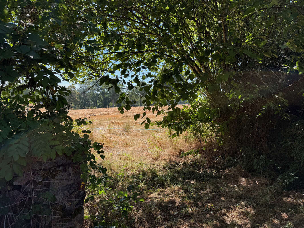 Auv 1226 : Maison typique, grange, puits, calme, vue, 3 849m2 - photo 88
