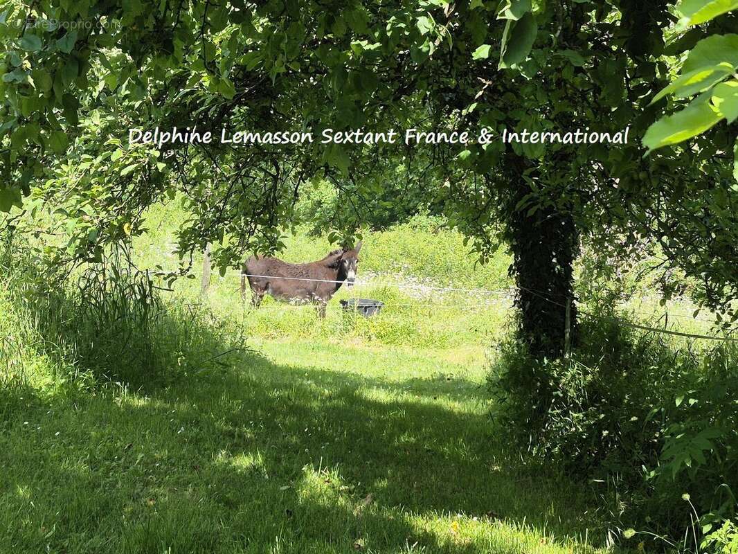 Maison à SAINTE-FOY-LA-GRANDE