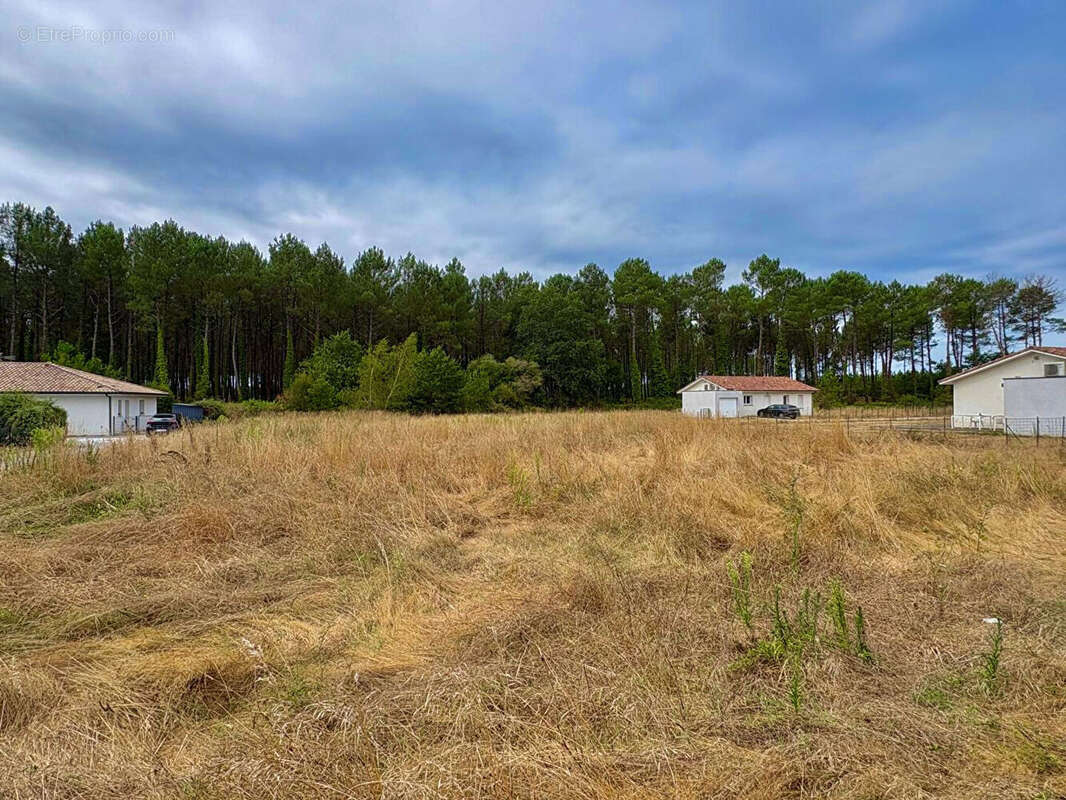 Terrain Boos 744 m2 - photo 2