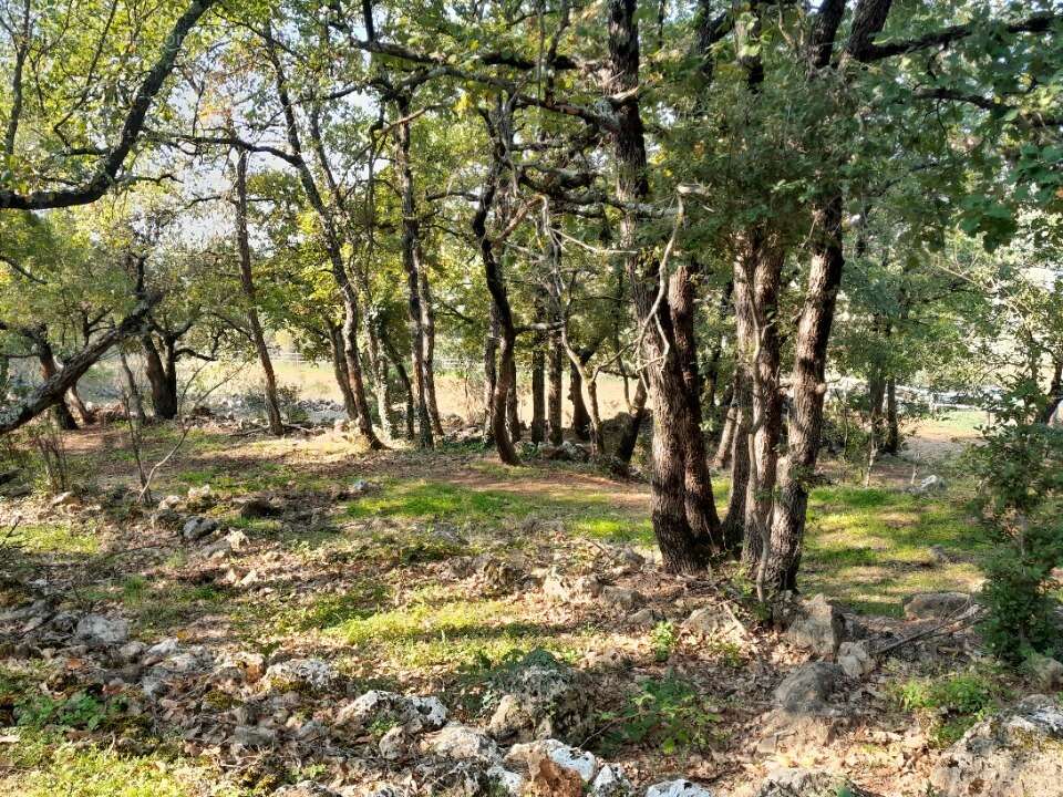 Terrain à SAINT-MAXIMIN-LA-SAINTE-BAUME