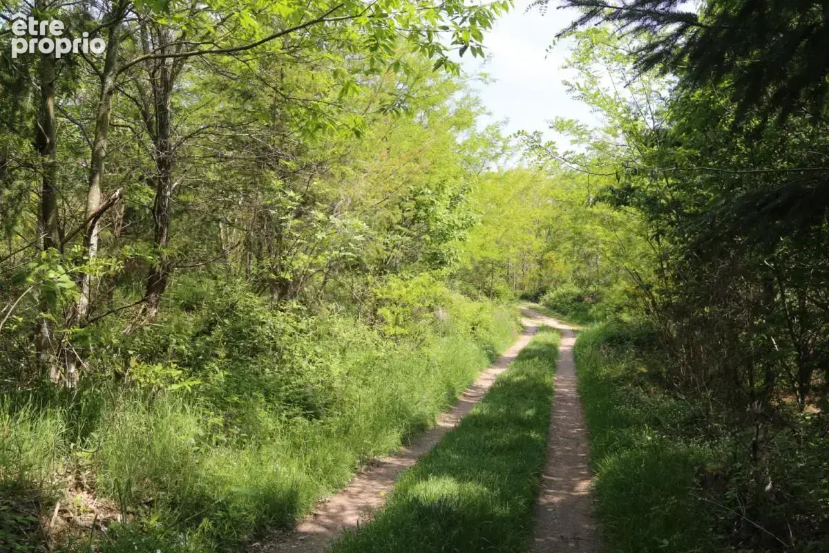 Propriété avec vue dégagée isolée au milieu de ses bois - photo 16
