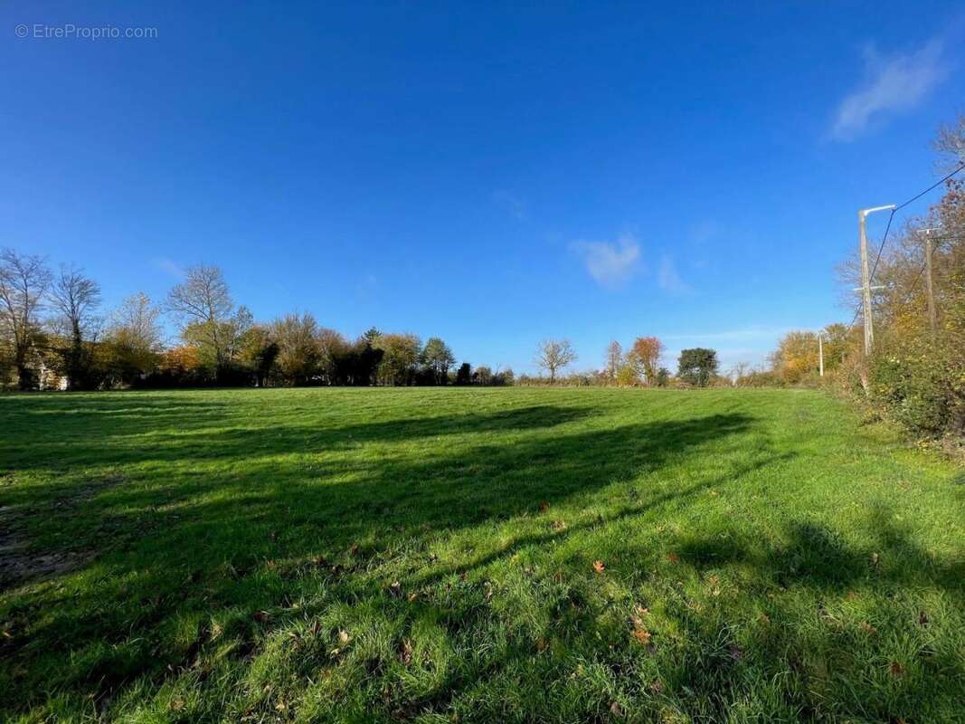 Terrain à LA TRINITE-DE-REVILLE