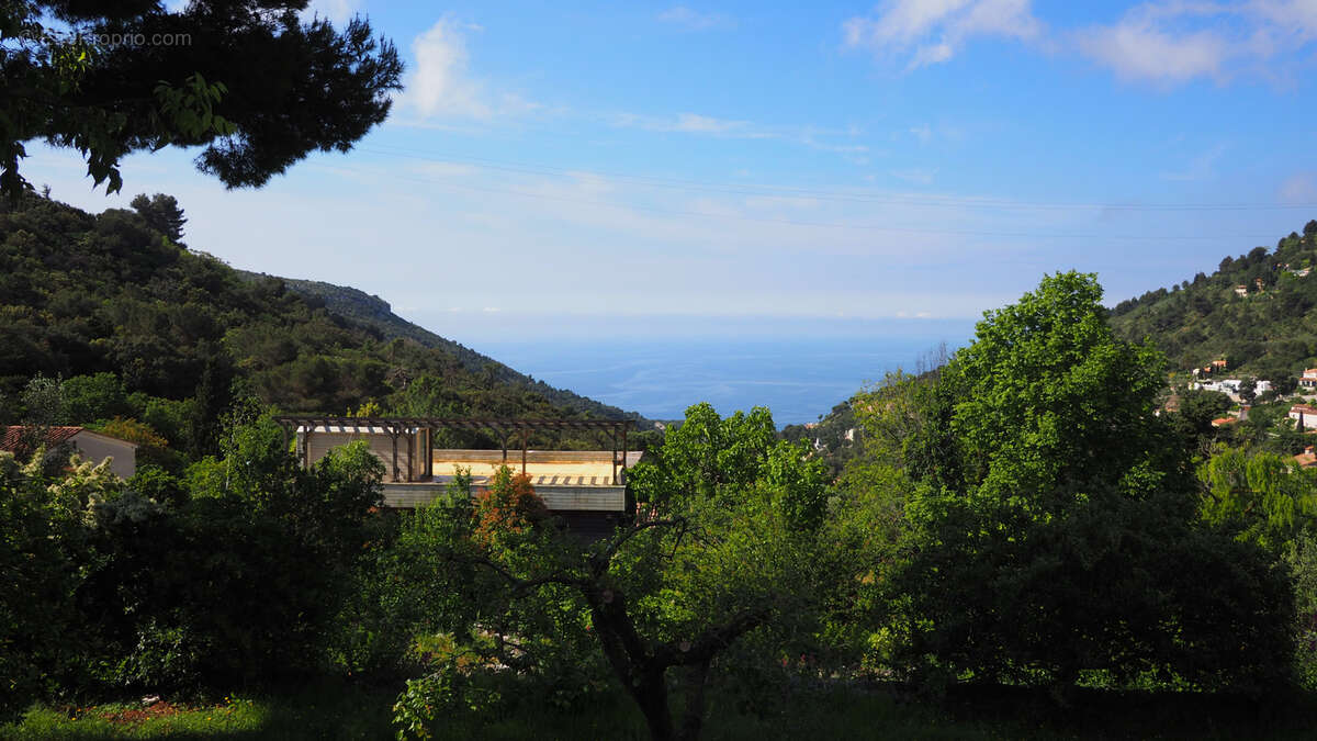 Terrain à LA TURBIE