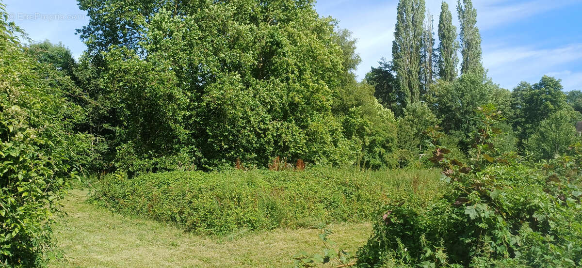 Terrain à GASNY