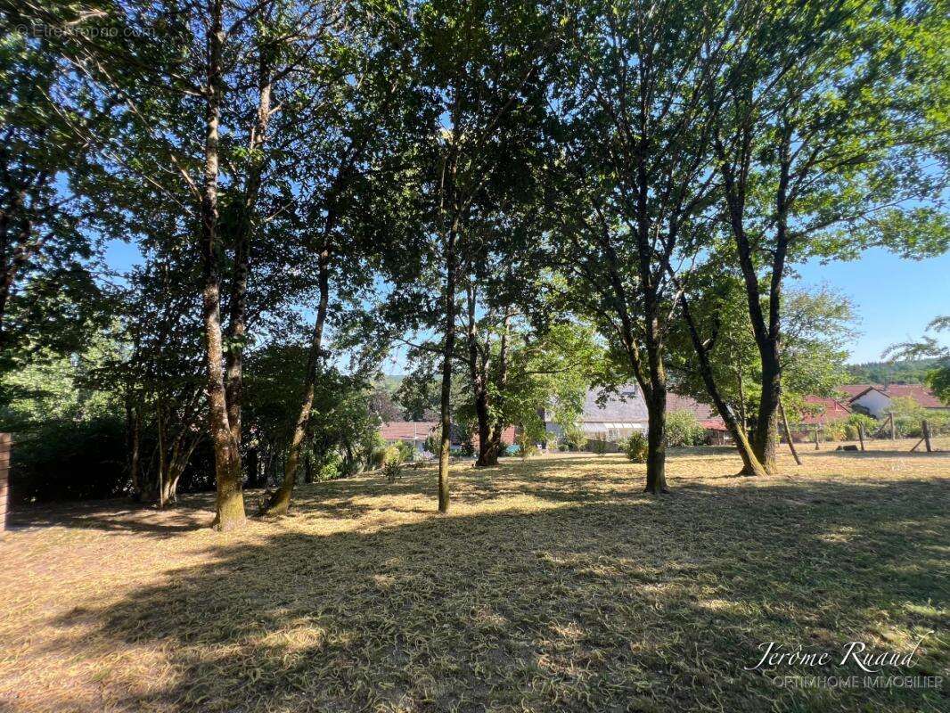 Maison de caractère rénovée de 205 m² avec jardin, bois, et grange - photo 20