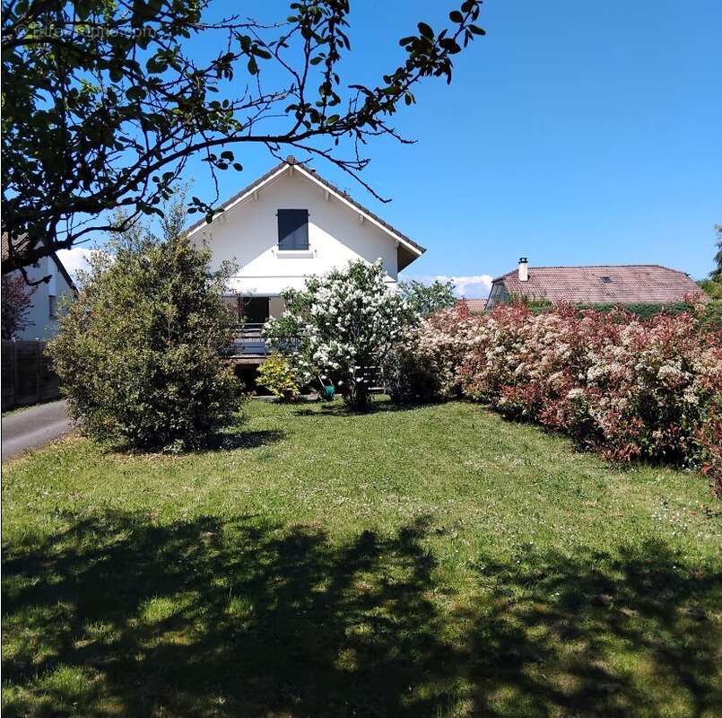 Maison à ANTHY-SUR-LEMAN