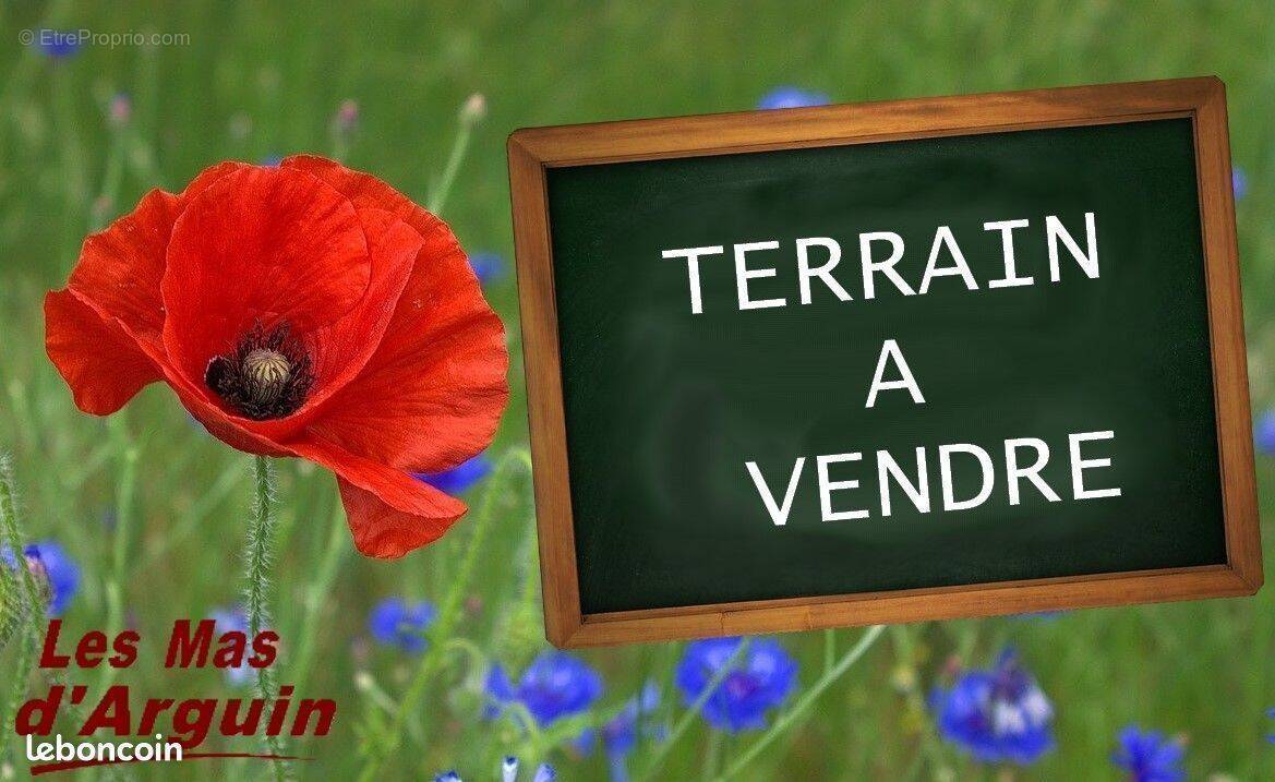 Terrain à BISCARROSSE