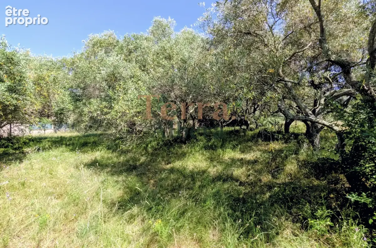 SORÈDE   Terrain à bâtir de 477 m2   Libre de constructeur - photo 2
