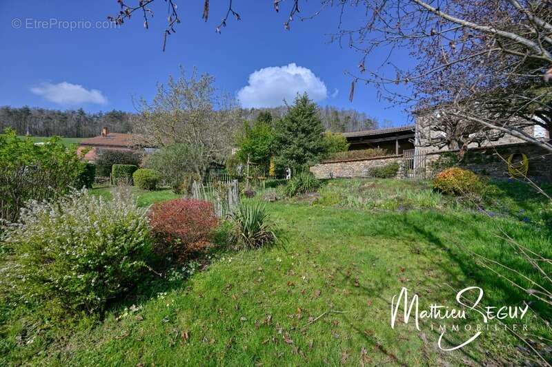 Maison à SAINT-MARTIN-EN-HAUT