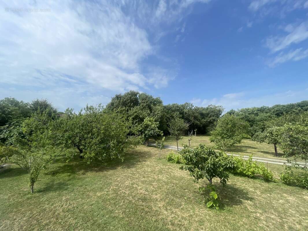 Maison à NIEUL-SUR-MER