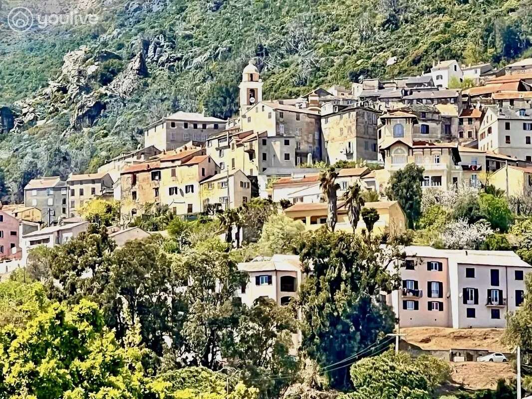 Appartement à CERVIONE