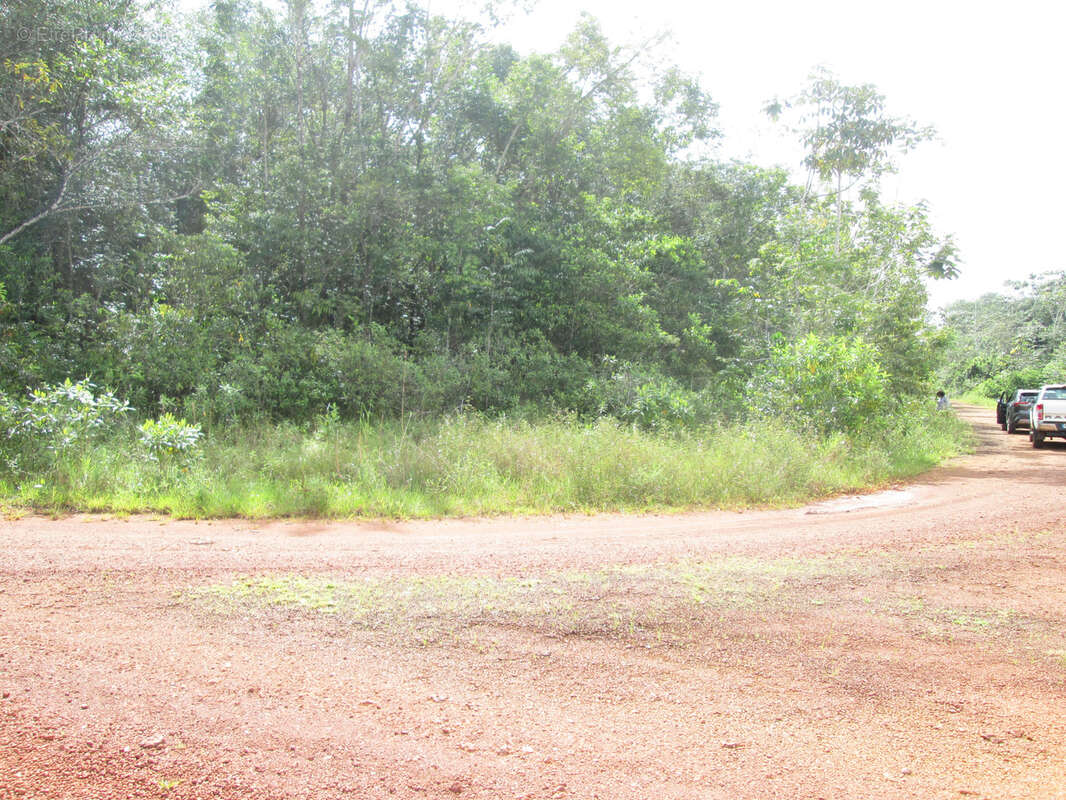 Terrain à SAINT-GEORGES