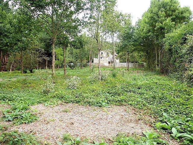 Terrain à SAINT-REMY