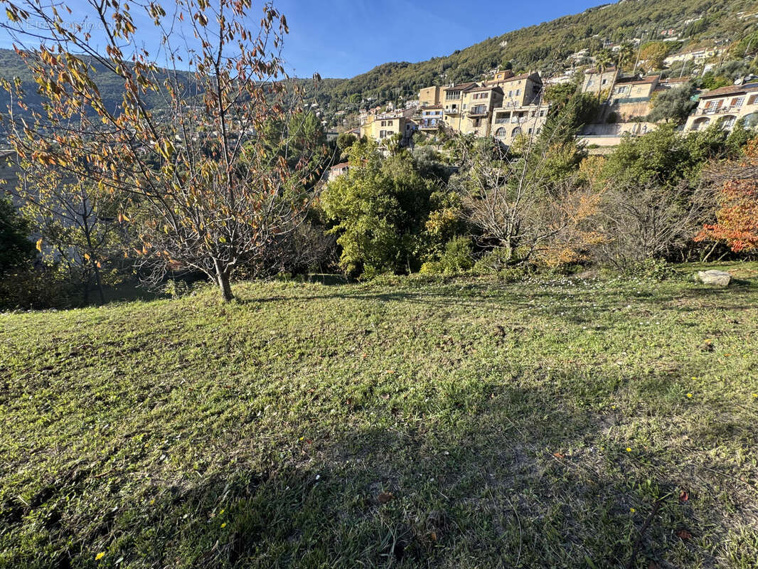 Terrain à GRASSE
