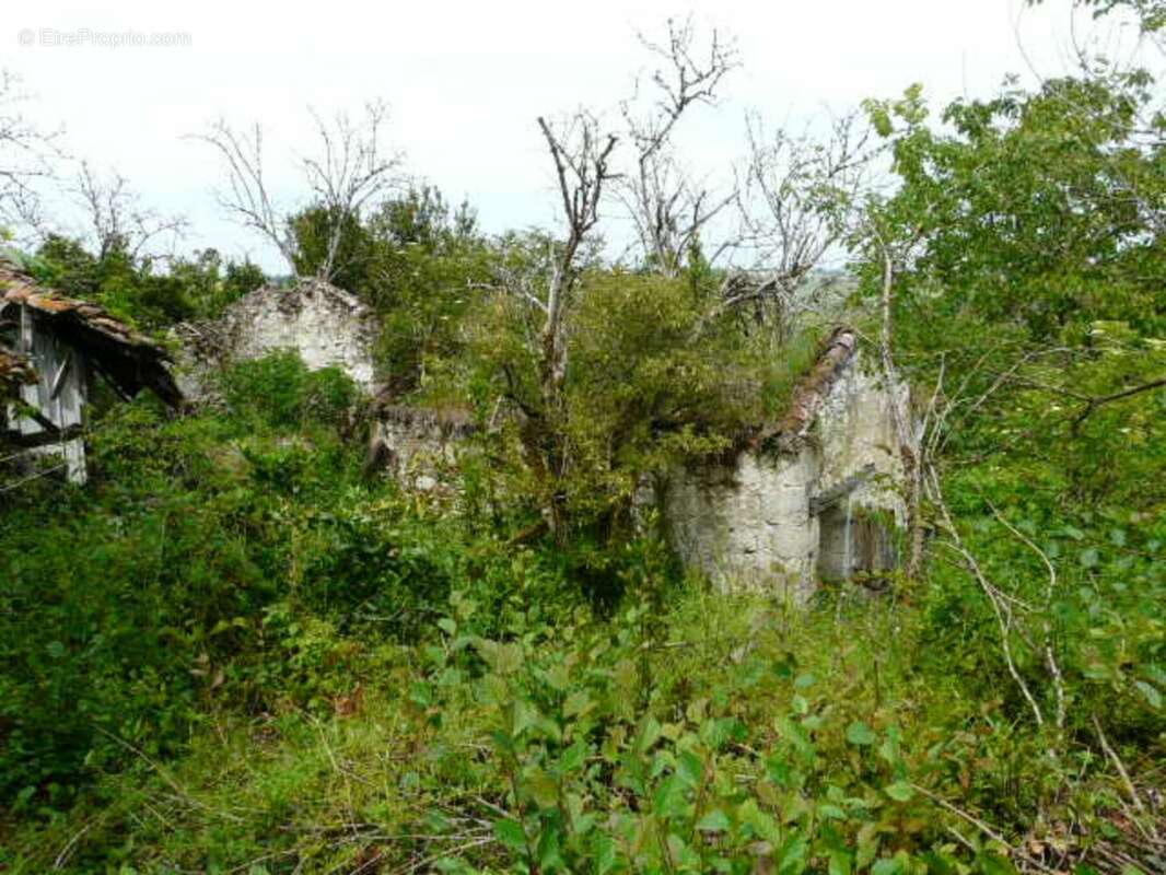 Maison à LECTOURE