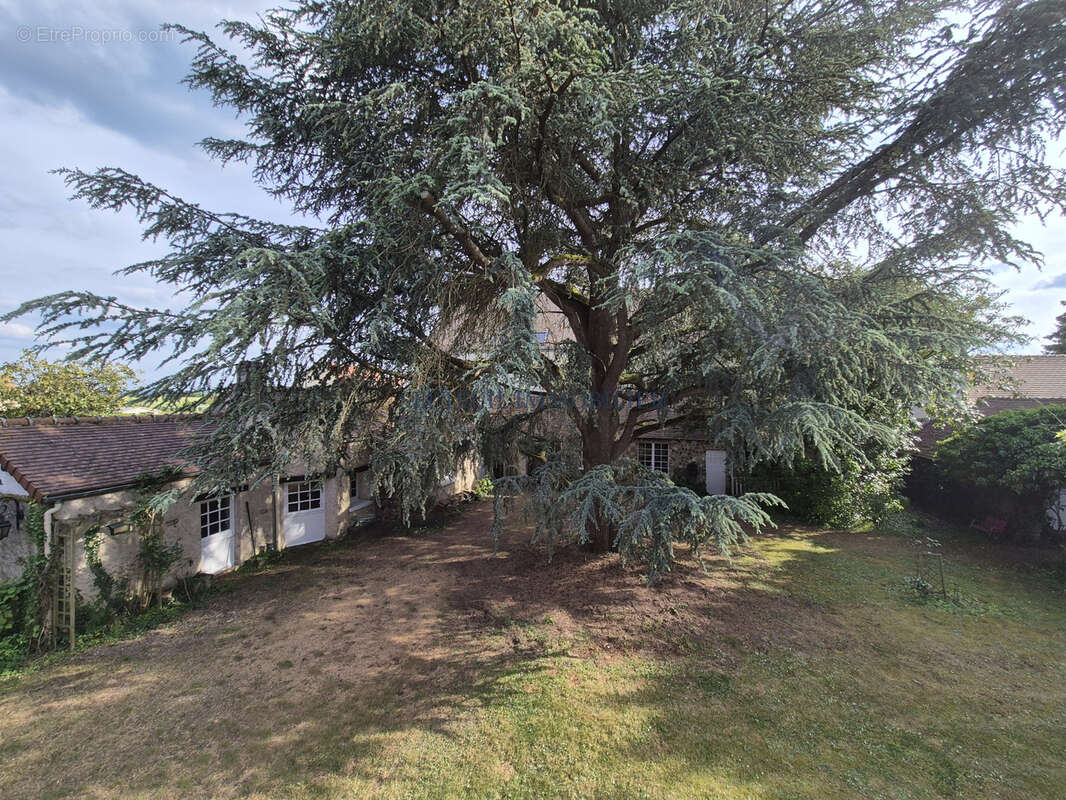 Maison ancienne ancienne avec dépendances. 360 m2 habitables sur 5 790 m2 de terrain. - photo 12