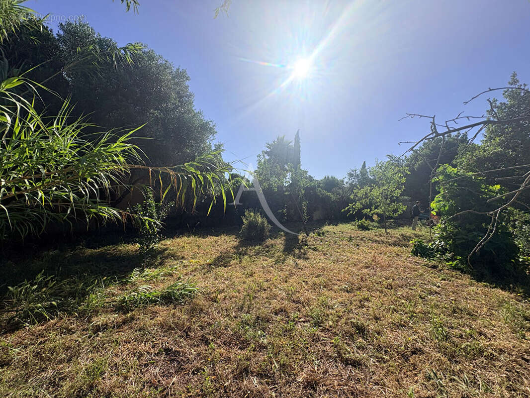 Terrain à SETE
