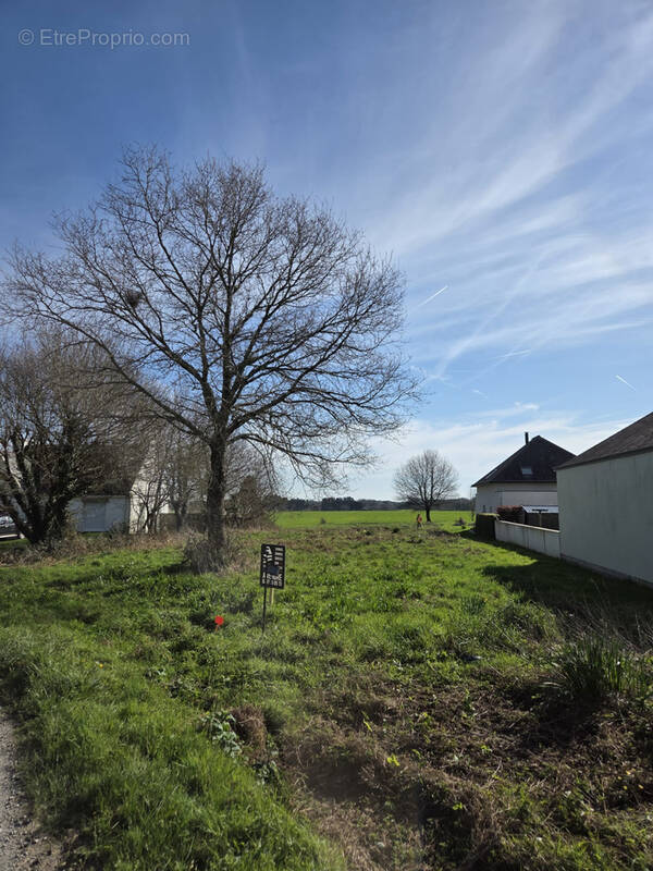 Terrain à BADEN