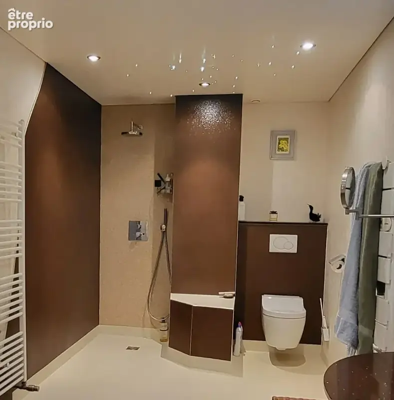 Maison 476m² à voiteur - photo 10