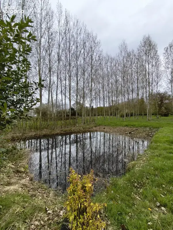 Propriété rurale - 2 habitations - photo 13