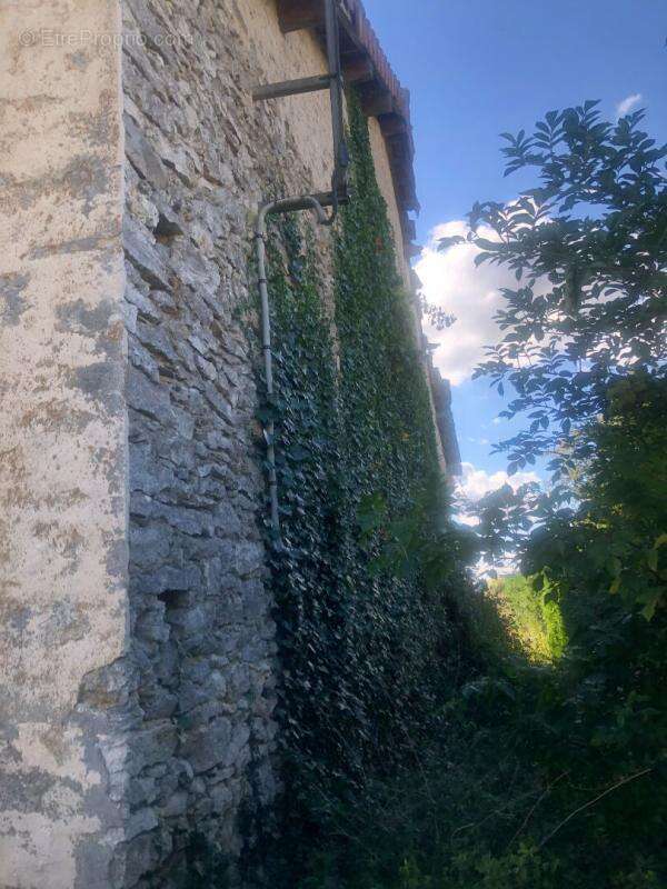 Authentique grange en pierre avec dépendance à réhabiliter - 6470 m² de terrain - Secteur Provins (77) - photo 5
