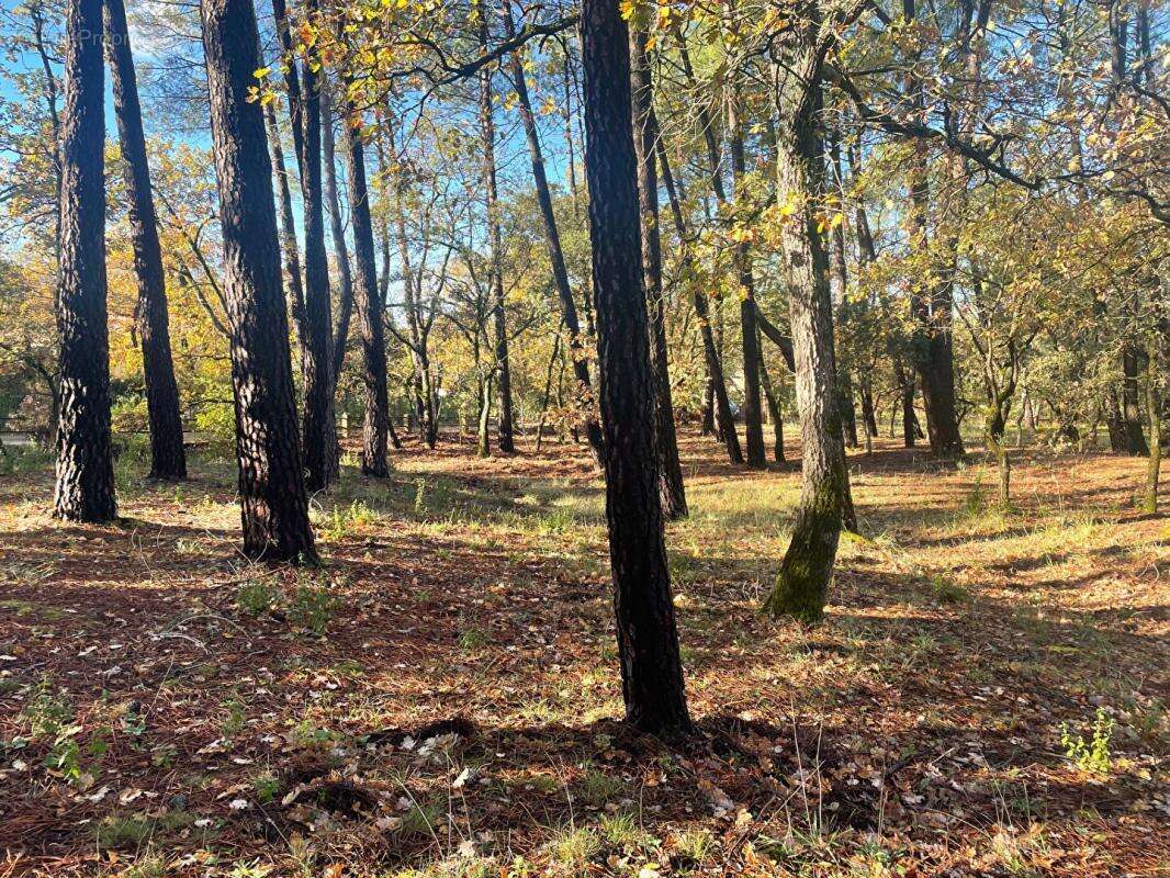 Maison à SAINT-SATURNIN-LES-APT