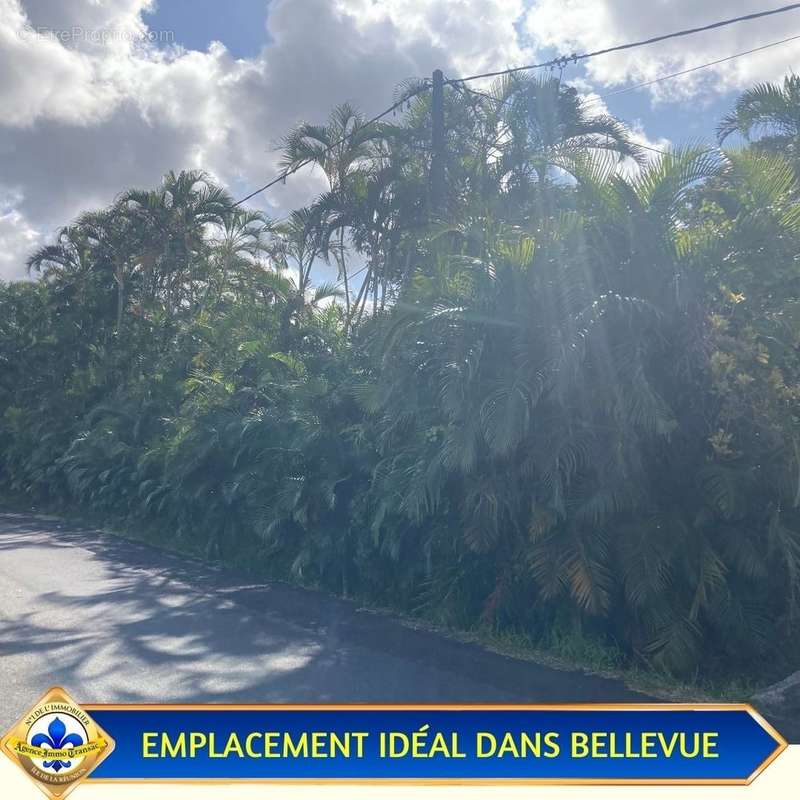 Terrain à SAINTE-ROSE