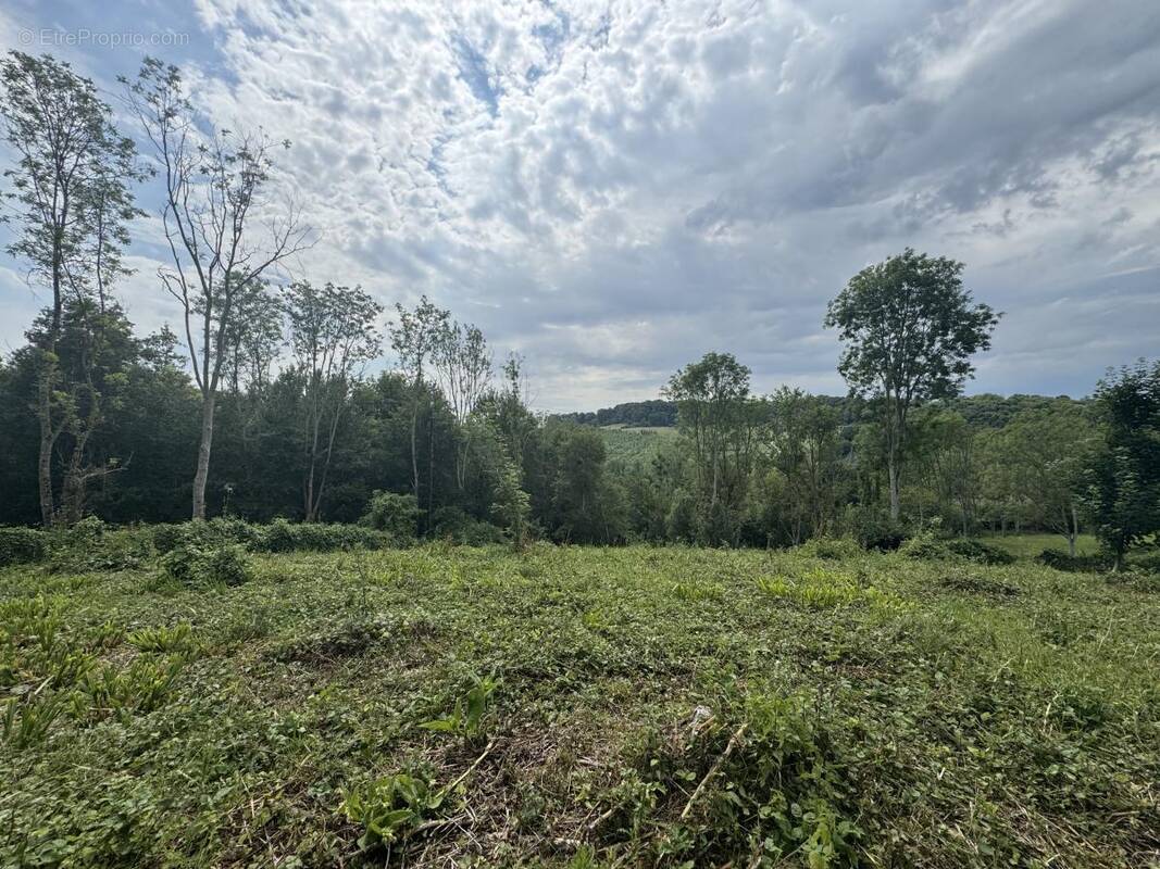 Terrain à LE MESNIL-SIMON