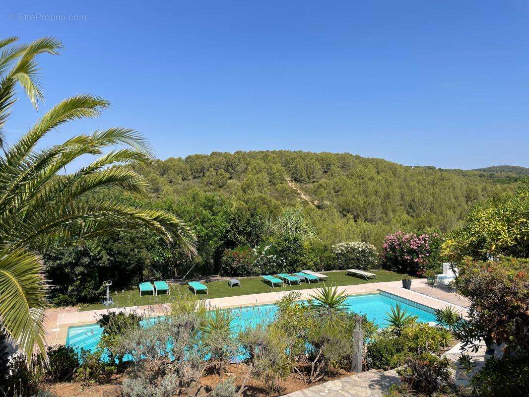A vendre bandol 83150 villa 5 pieces 2500 m2 de terrain piscine maison d amis - photo 5