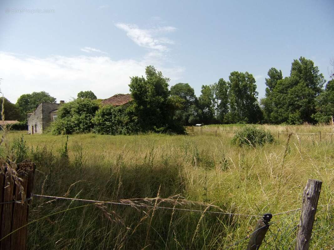 Maison 65 m² à Chives  - photo 3